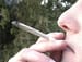 Cannabis Use in Teens Linked to Irreparable Drop in IQ
