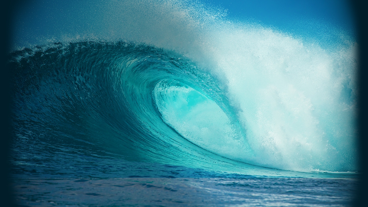 Clinical Advances in The Atopic Dermatitis Learning Center: Riding the Next Wave