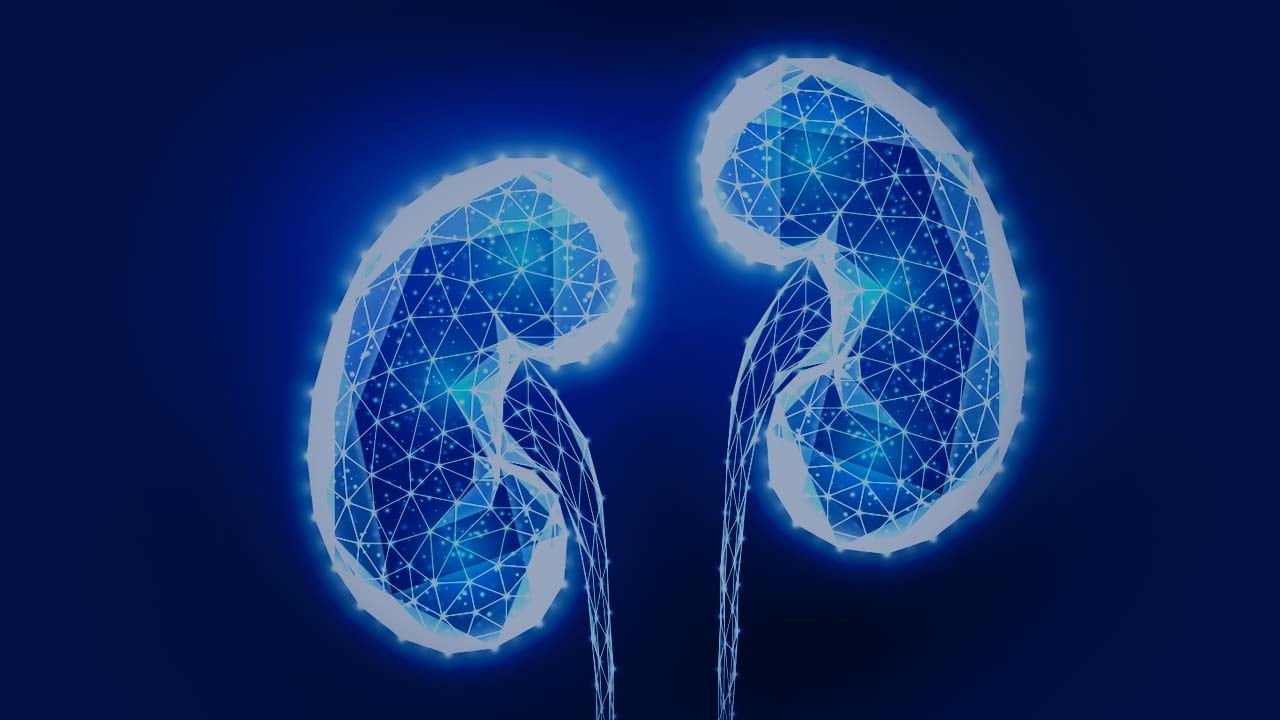 CME TV: New Horizons in Complement-Mediated Kidney Diseases
