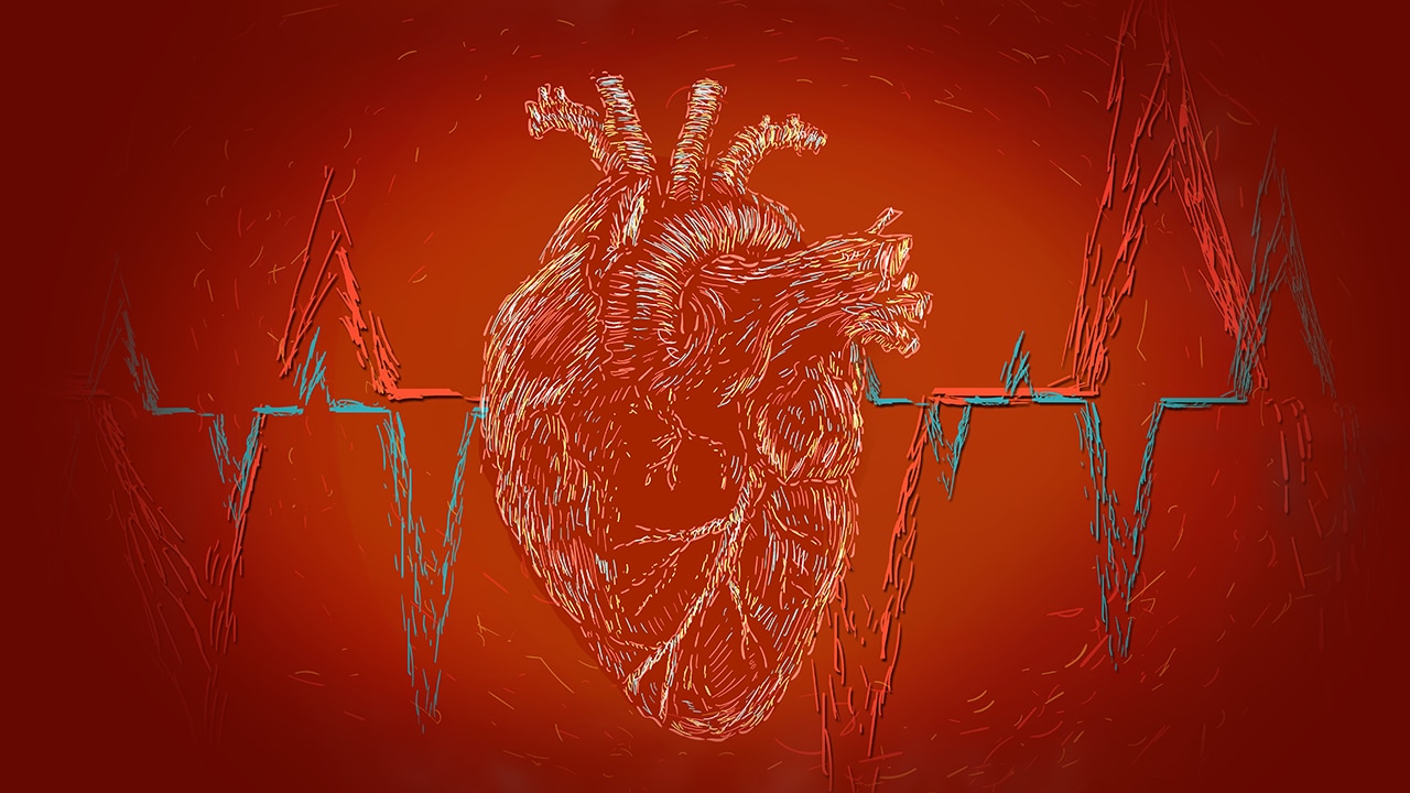 Going Back to the Heart of Cardiology 2020