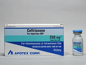 ceftriaxone 250 mg solution for injection