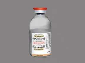 ceftriaxone 10 gram solution for injection