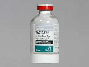 Tazicef 6 gram solution for injection