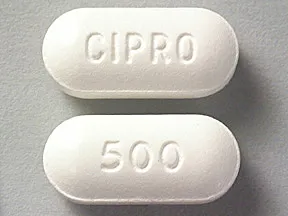 can a dog take cipro 500 mg