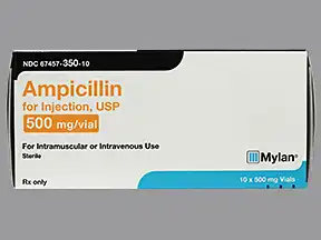 ampicillin 250 mg
