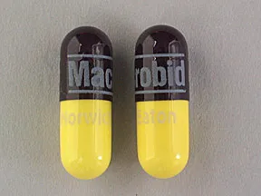 Macrobid 100 mg capsule