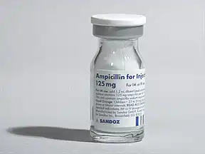 ampicillin 300 mg