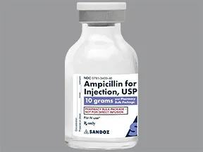 ampicillin 10 gram solution for injection
