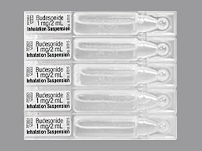 budesonide 1 mg/2 mL suspension for nebulization