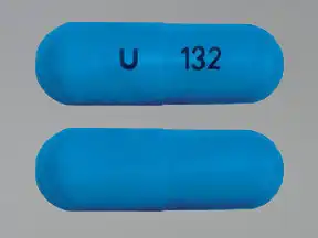 Zaleplon 10 mg drug