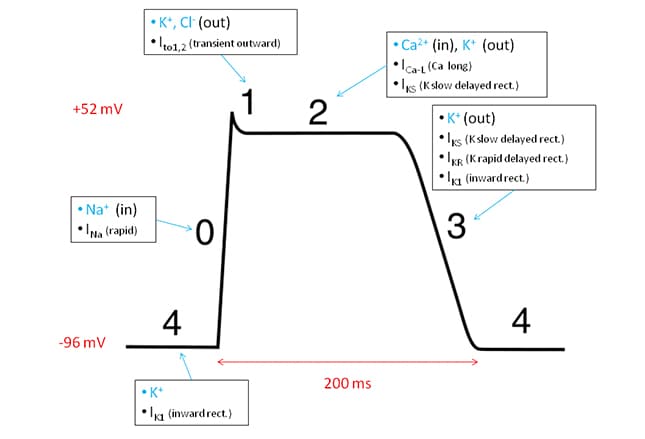 Slide 20