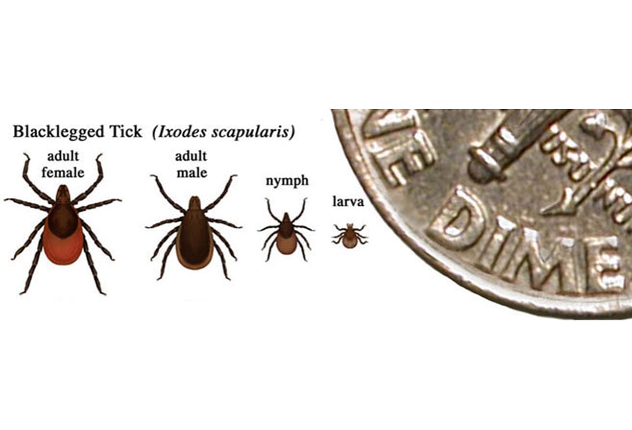 11 CommunityAcquired Infections