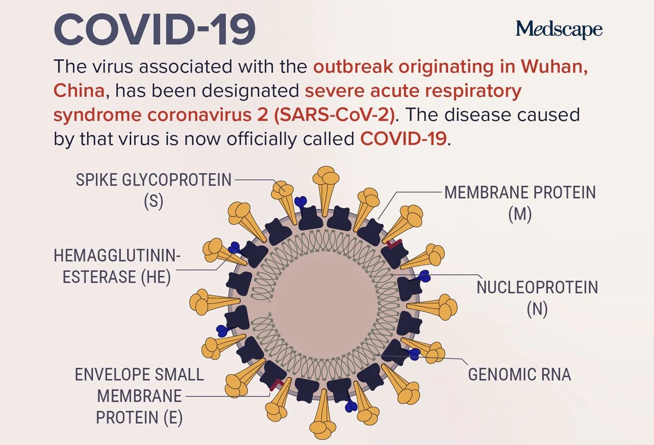 Коронавирус 19 строение вируса