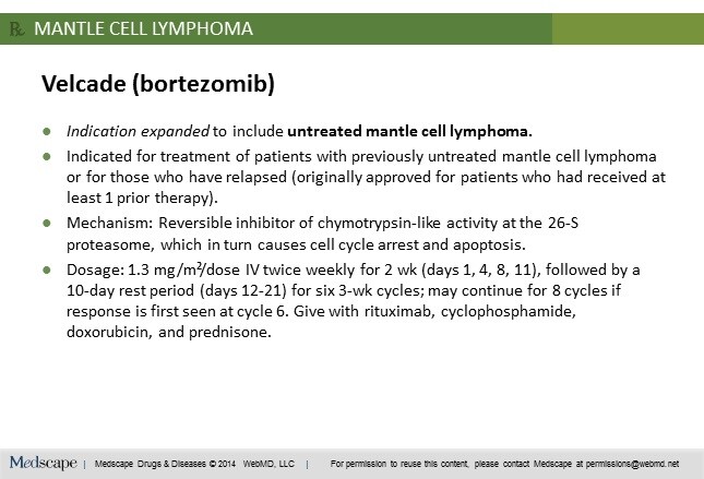 Slide 11.
