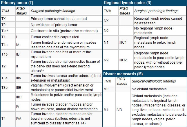 Endometrial Cancer: Common but Predominantly Curable