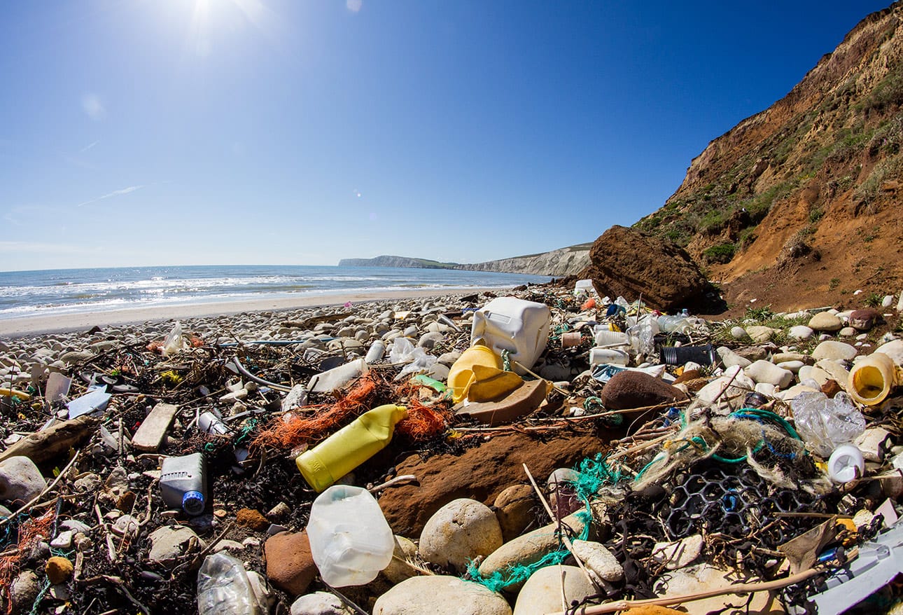 Environmental Contaminants: Effects of a Changing Climate on Human Health