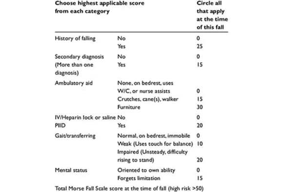  Scale For Elderly