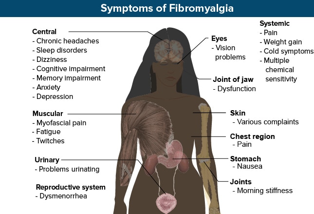 Fibromyalgia A Pain Processing Problem