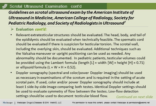 Slide 11