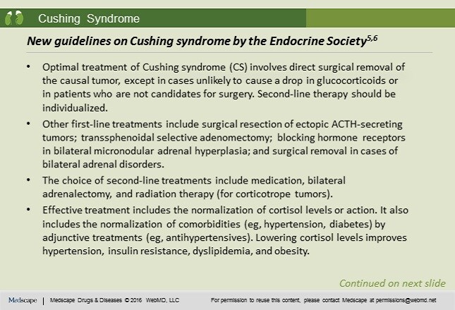 Slide 8