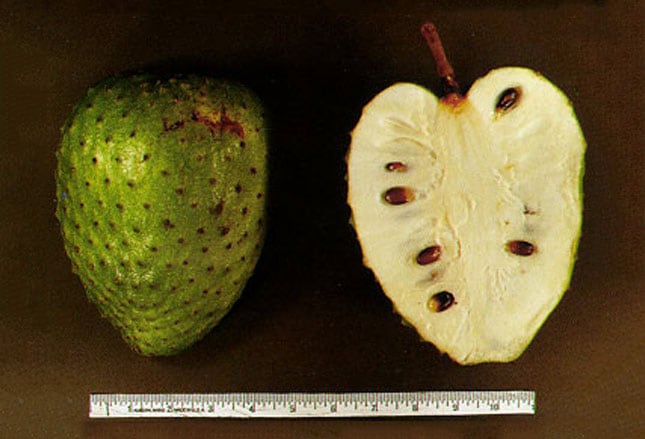 Slide 9