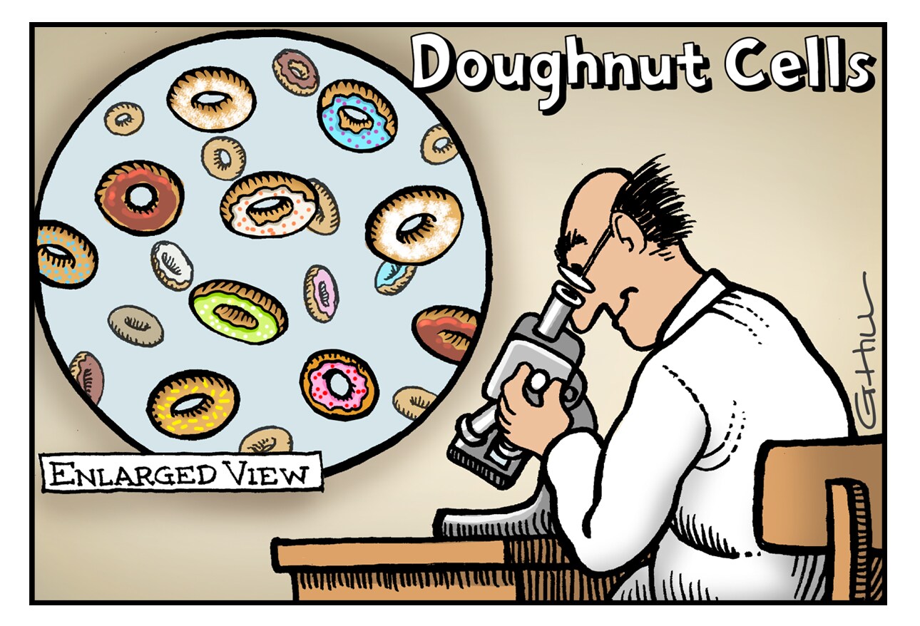 Candy Cane Esophagus, Glue Ear, and More Colorful Medical 'Metaphors'