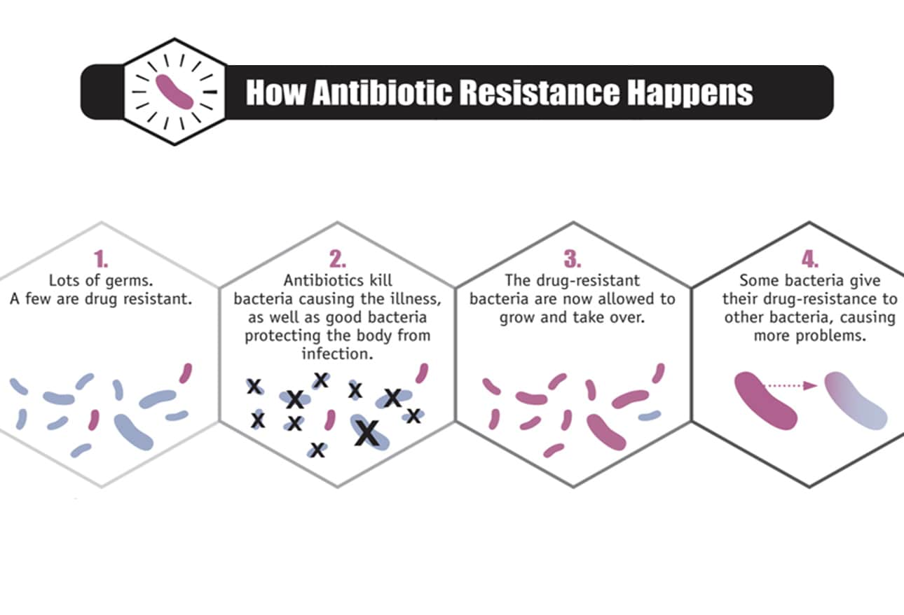 Multidrug Resistant Organisms (MDROs): Growing, Spreading, and Killing