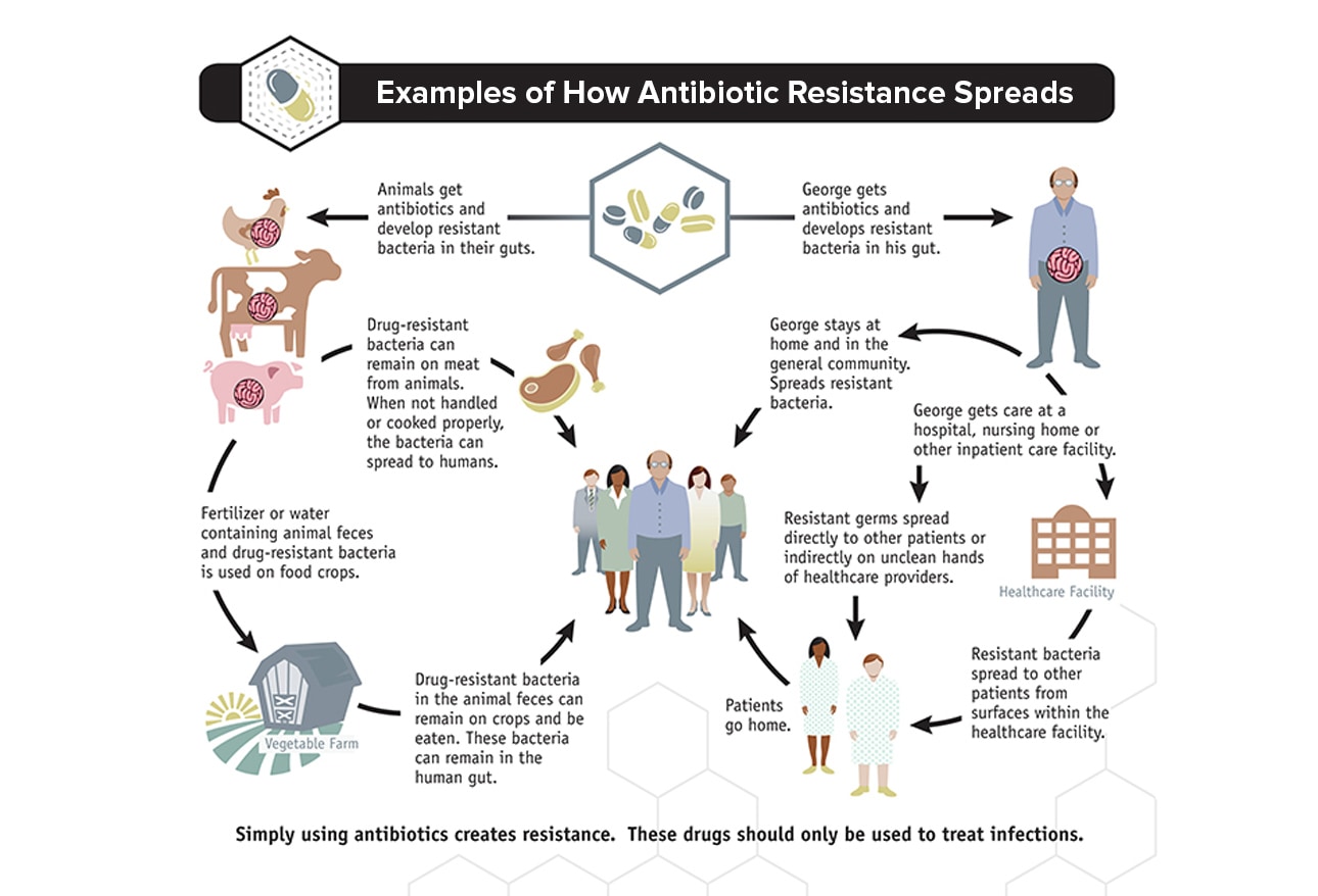 Multidrug Resistant Organisms (MDROs) Growing, Spreading, and Killing