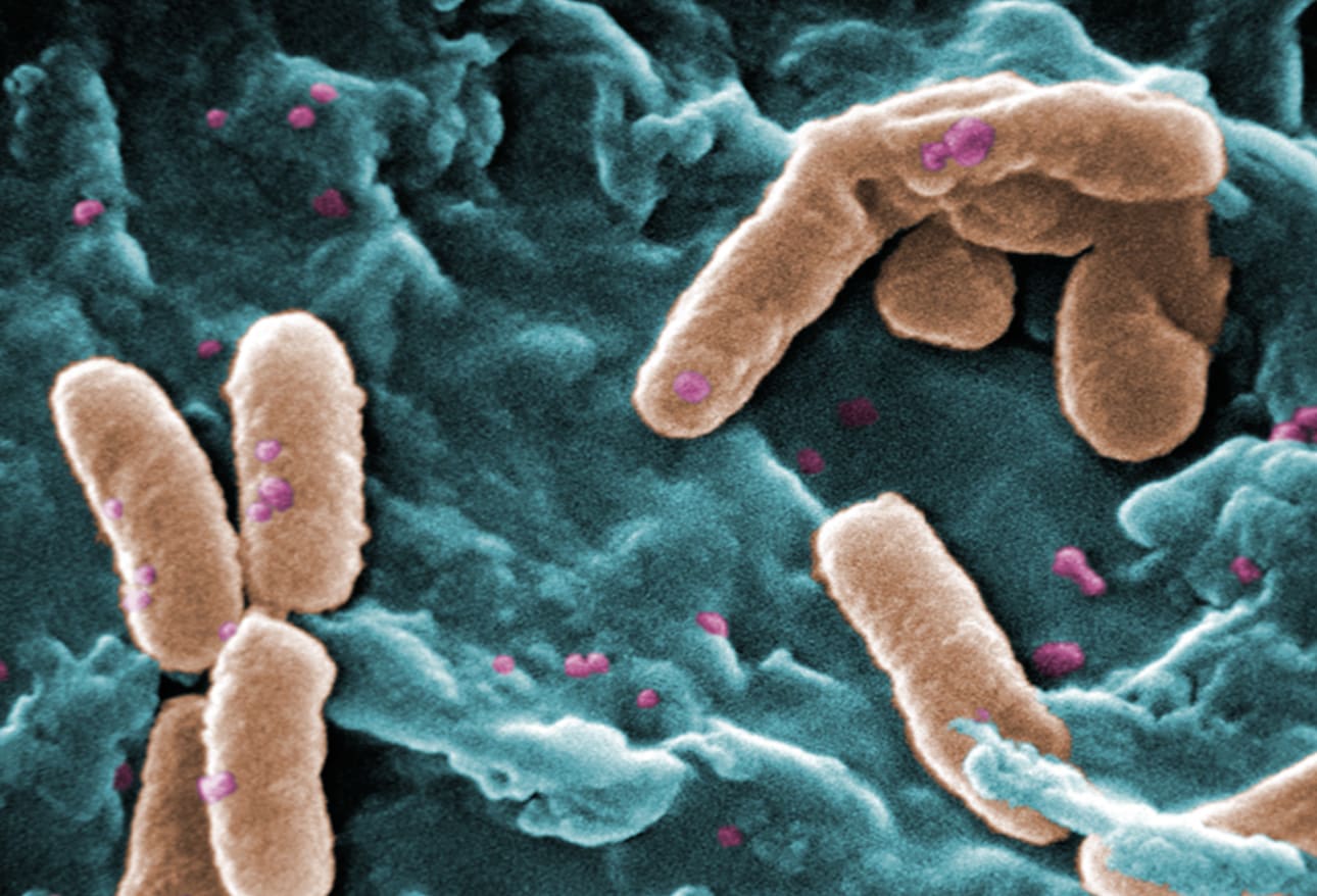 Multidrug Resistant Organisms (MDROs) Growing, Spreading, and Killing