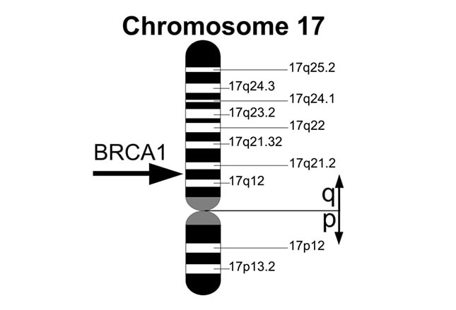 Slide 29