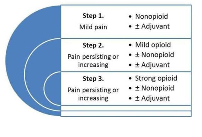 Image result for pain control