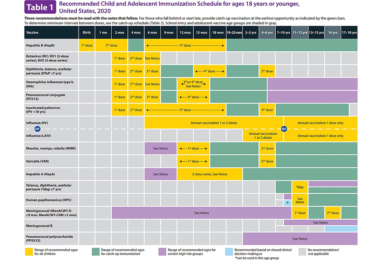 Pediatric Vaccinations Do You Know The Recommended Schedules 