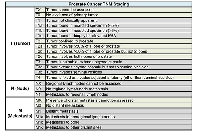 Prostate Cancer Stages