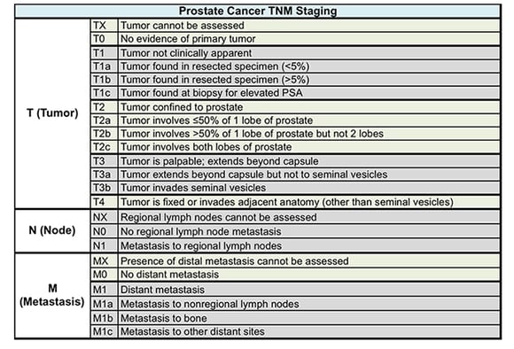prostate cancer emedicine