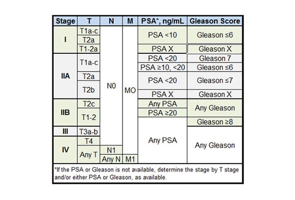 prostate cancer staging medscape)