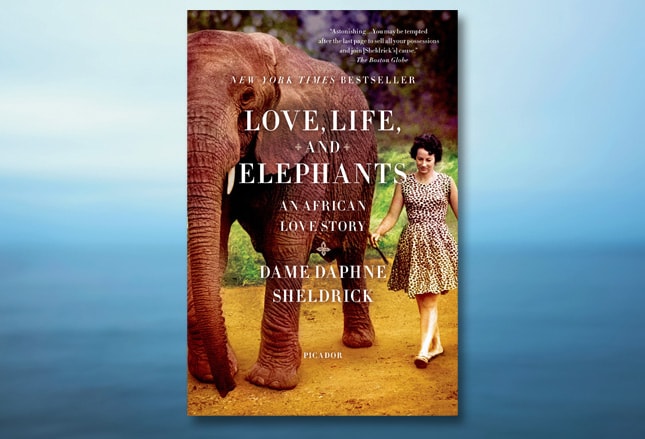 daphne sheldrick love life and elephants an african love story