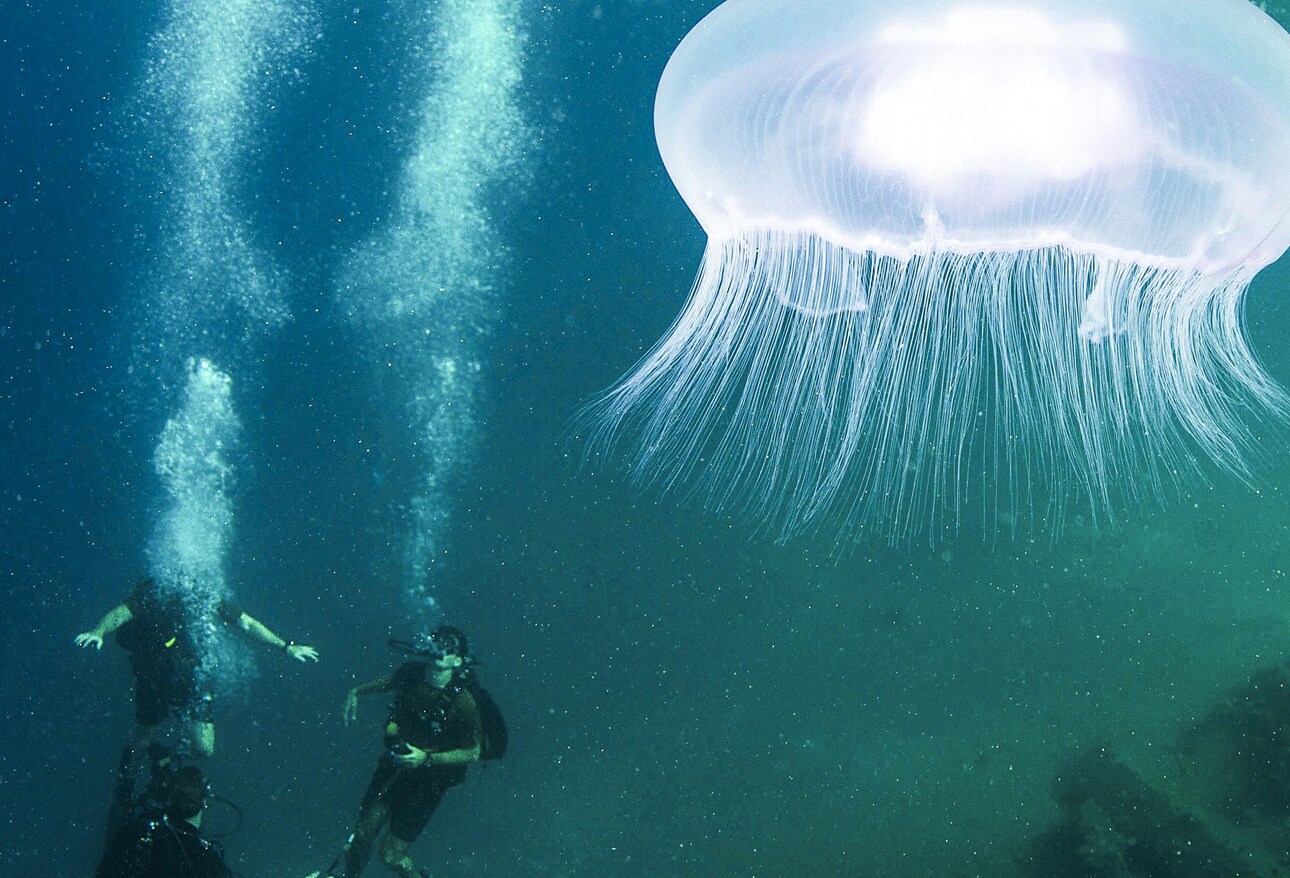 File:Flickr - Official U.S. Navy Imagery - A Navy Diver drills a hole into  a column where