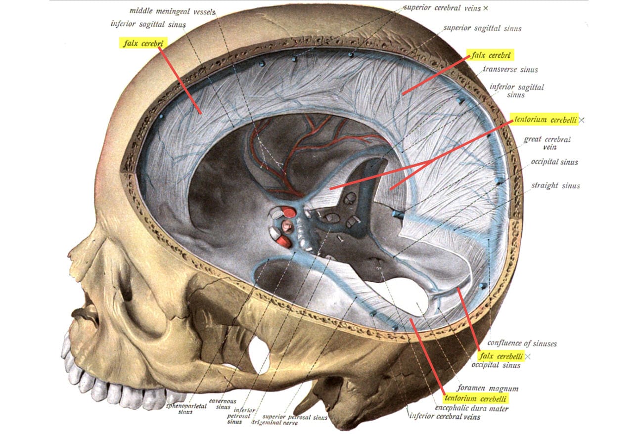 7 Potentially Devastating Traumatic Brain Injuries