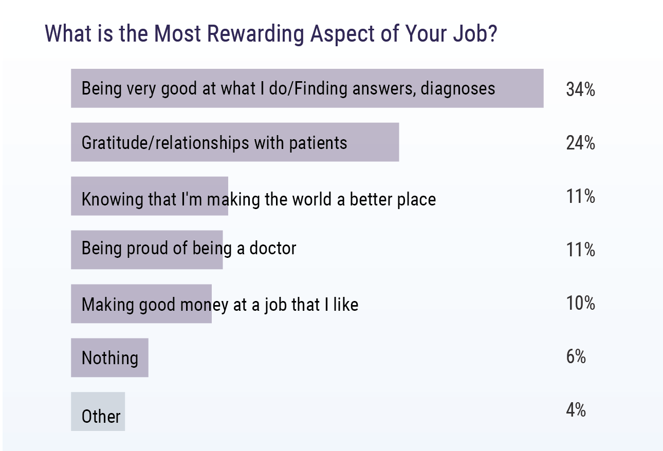 UK Doctors' Professional Satisfaction Survey