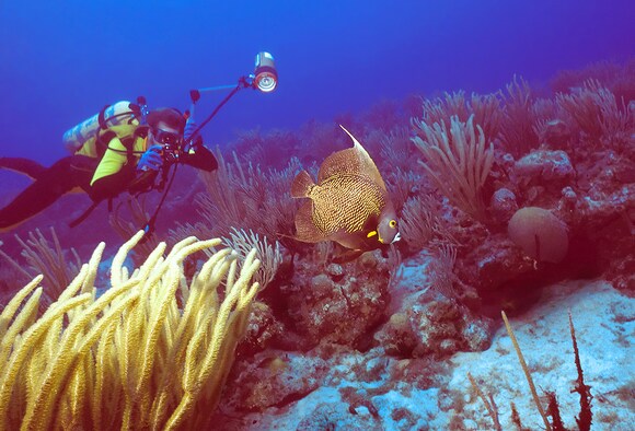 30 Unforgettable Vacation Ideas For Doctors