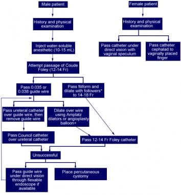 Algorithm for managing difficult-to-catheterize pa