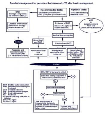 guidelines for the management of benign prostatic hyperplasia)