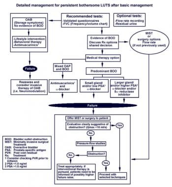 Tratament prostatic cronic BPH 1 grad