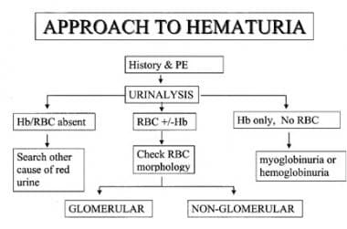 Approach to hematuria. 