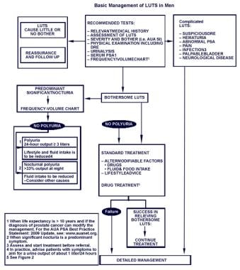 Lower Urinary Tract Obstruction: Diagnosis & Treatment