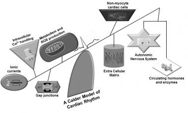 Navigating the Hurdles in Heart Attack Testing: The Key to Preventing Sudden  Death - Cardio Diagnostics