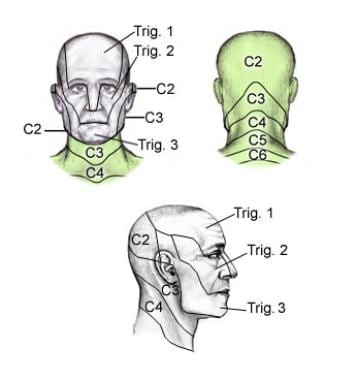 dermatomes face