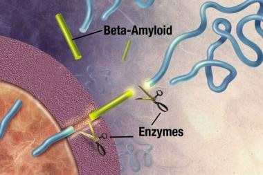 Enzymes (substances that cause or speed up a chemi