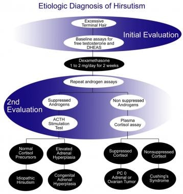 Cortisol Lab Test - My Endo Consult