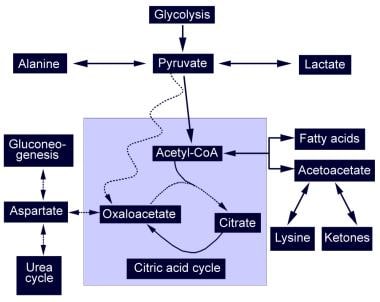 Pyruvate Carboxylase Deficiency. Diagrammatic repr